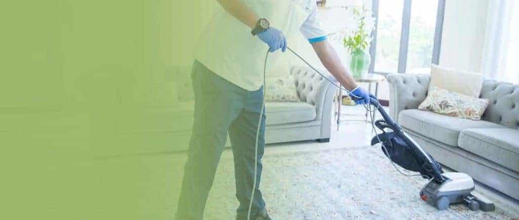 Alexandria VA Carpet Cleaning professional cleaning carpet with equipment in living room