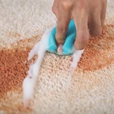 clean vomit from carpet