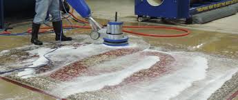 Persian Rug Cleaning Alexandria