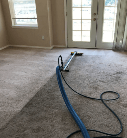 Alexandria VA Carpet Cleaning