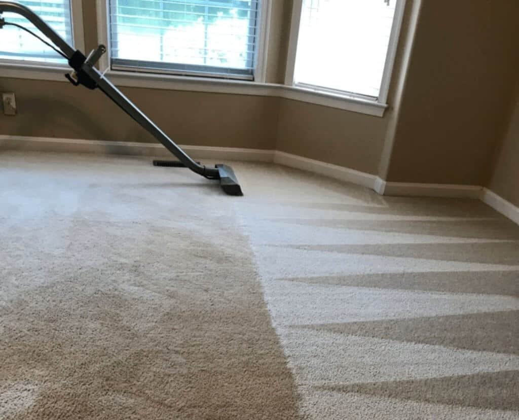 green carpet cleaning alexandria va