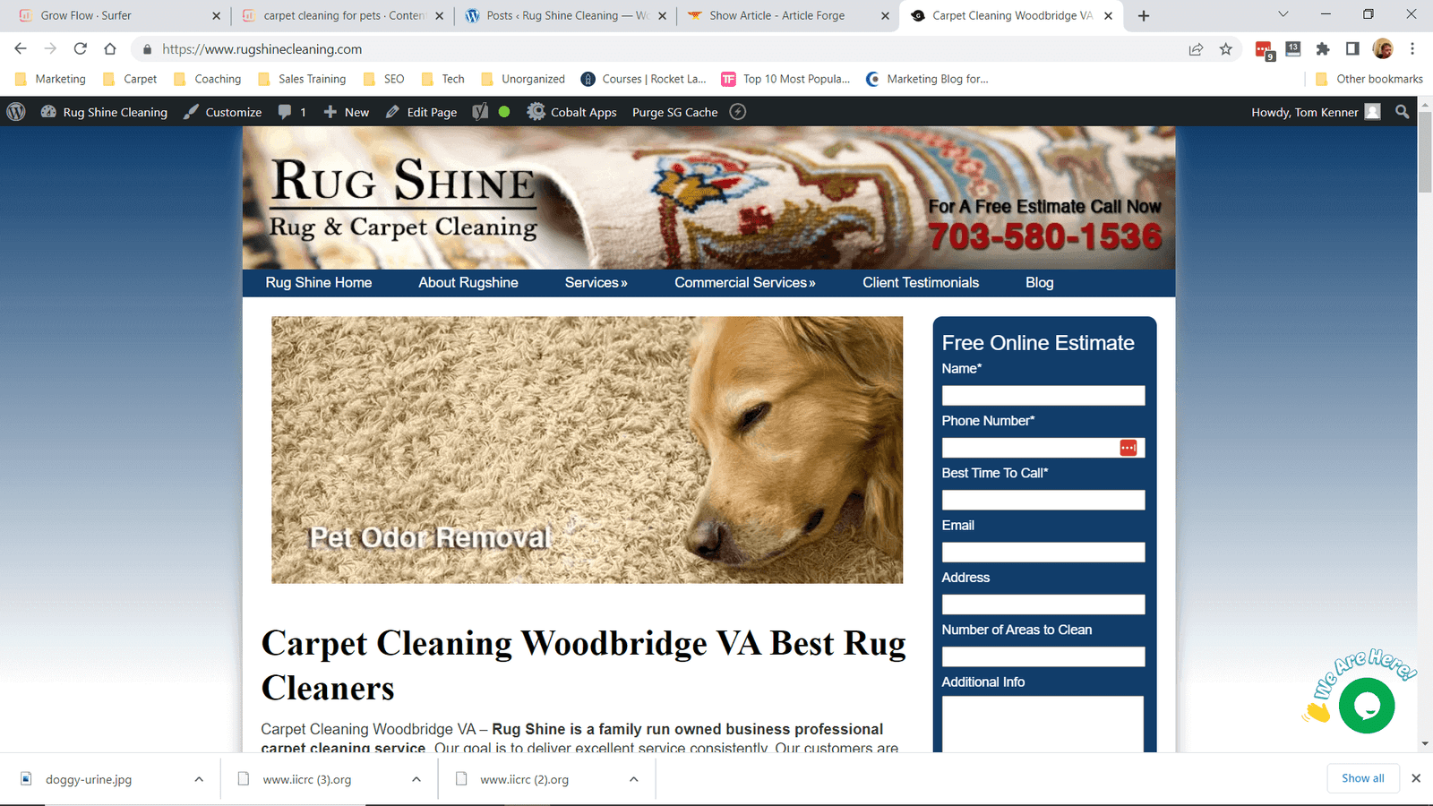 carpet cleaning woodbridge va