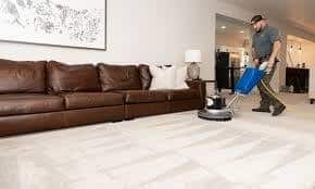 Alexandria VA carpet cleaning professional using eco-friendly equipment in a home.