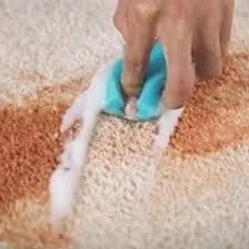 Blotting a pet stain on carpet with a cleaning cloth and enzymatic cleaner.