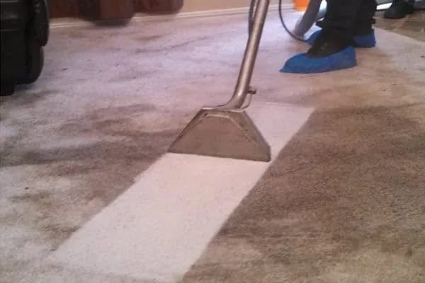 Carpet cleaning equipment and technique for deep cleaning carpets in Alexandria homes