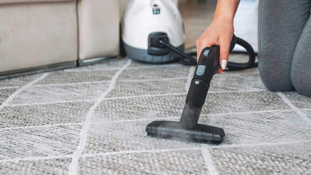 Best Residential Carpet Cleaners in Alexandria